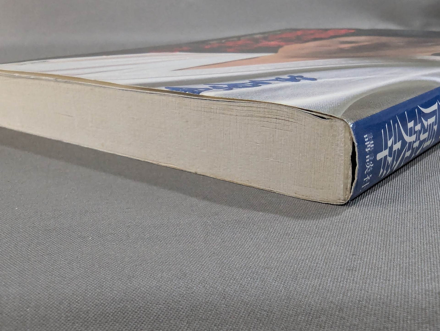 Burning in KARATE and living in KARATE Sabaki life in the 10th dan of fighting