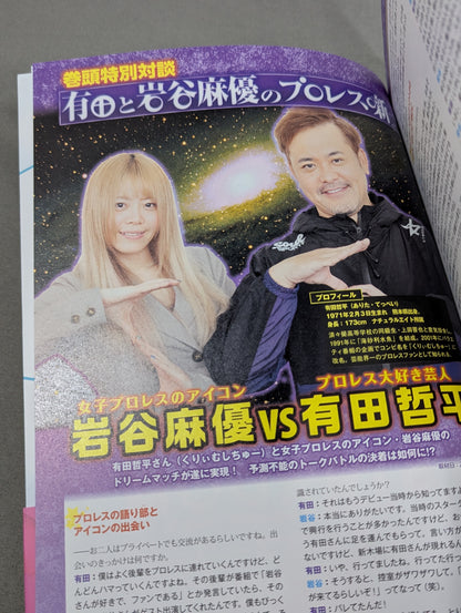 スターダム ファンブック2  STARDOM FANBOOK 2