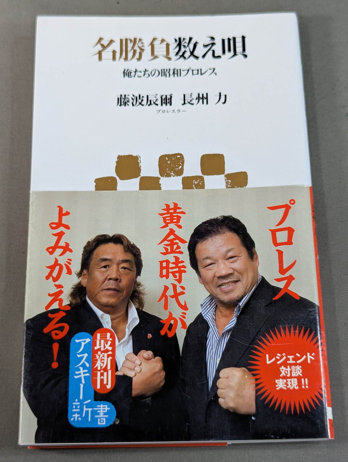 Our Showa Pro Wrestling