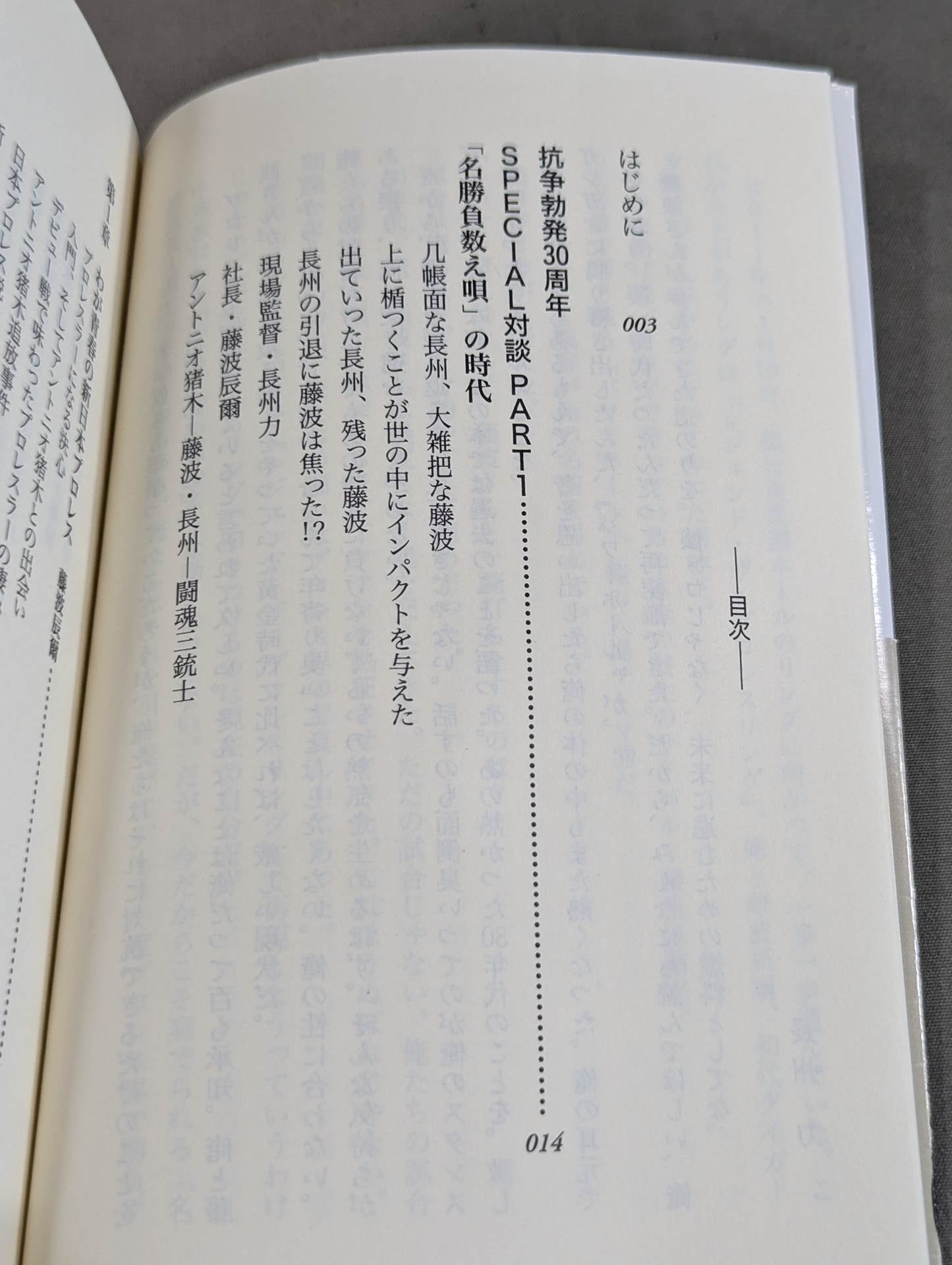 Our Showa Pro Wrestling