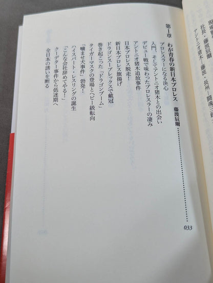 Our Showa Pro Wrestling