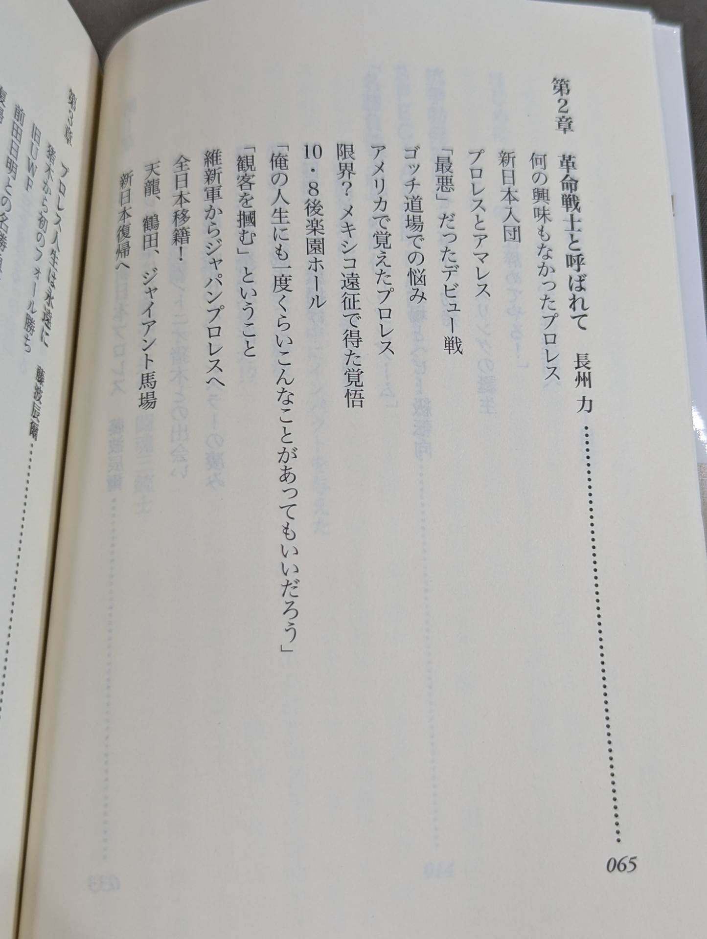 Our Showa Pro Wrestling