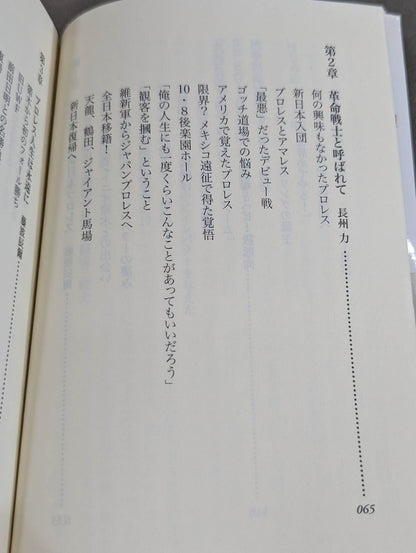 Our Showa Pro Wrestling