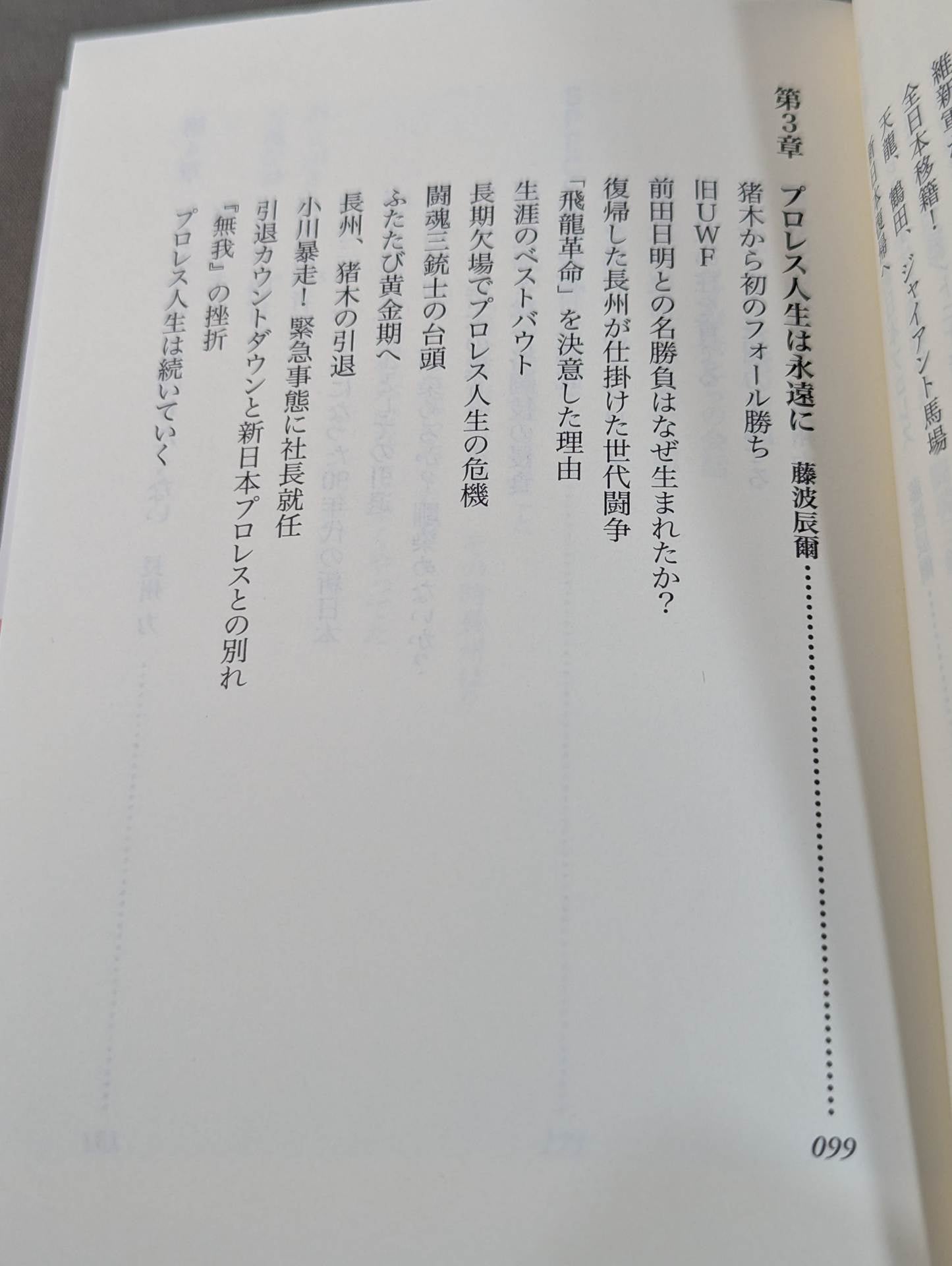 Our Showa Pro Wrestling