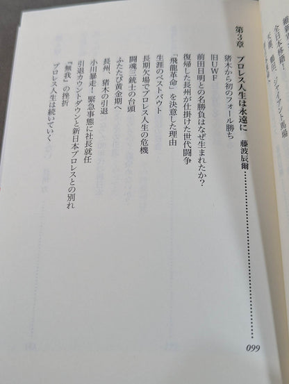 Our Showa Pro Wrestling