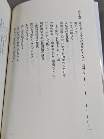 Our Showa Pro Wrestling