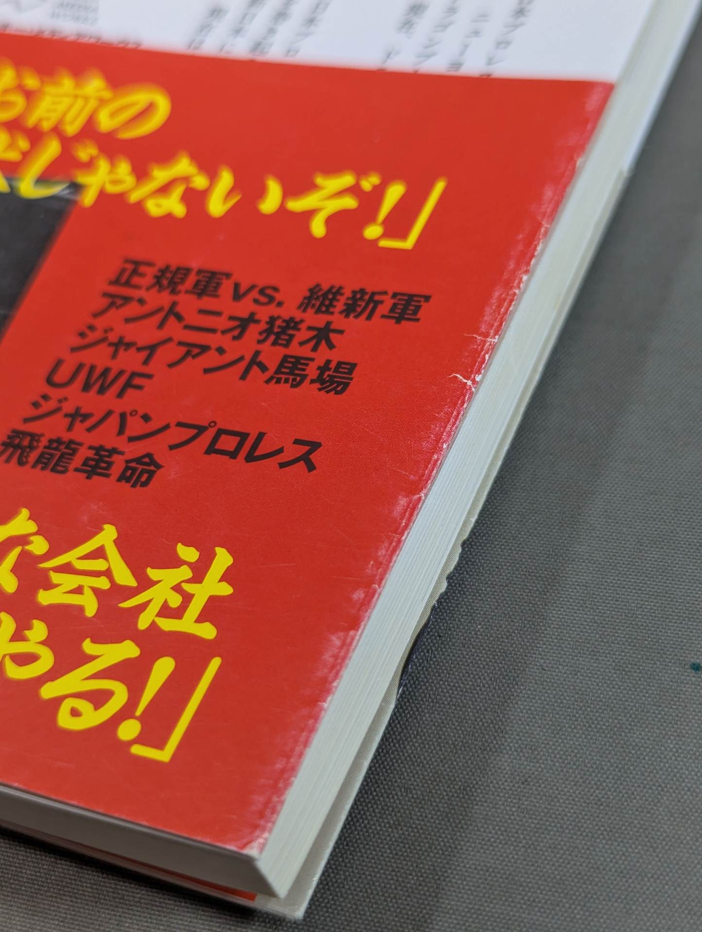 Our Showa Pro Wrestling