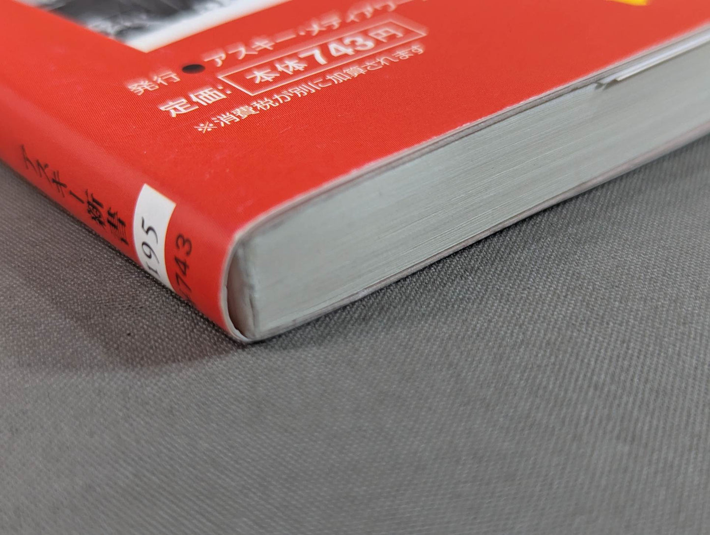 Our Showa Pro Wrestling