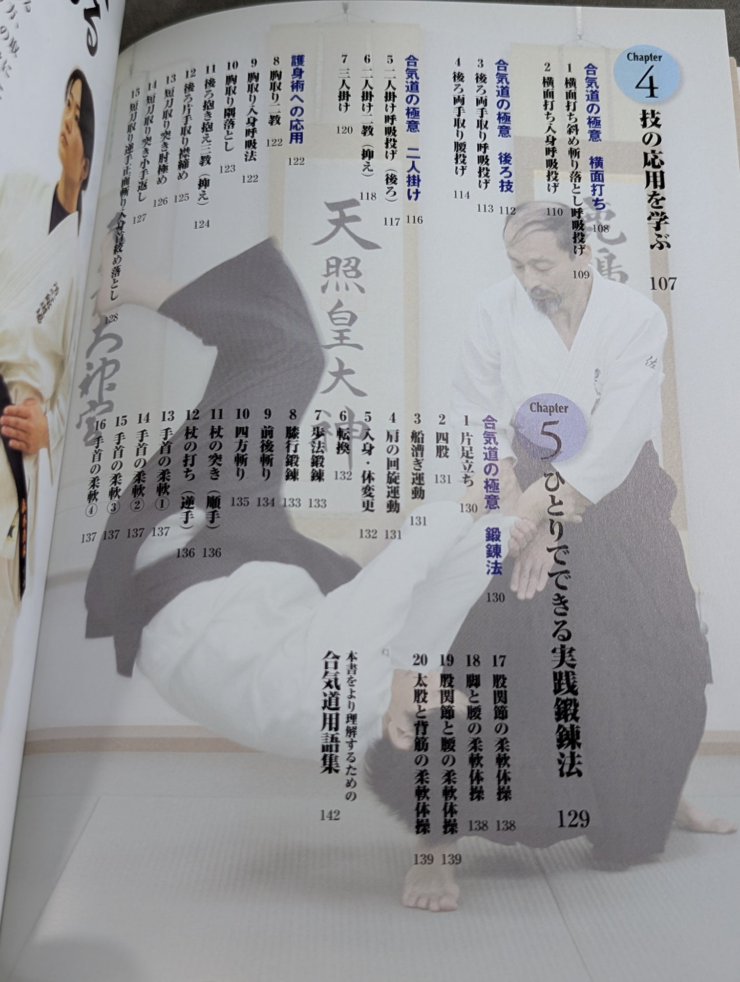 【DVD付】DVDで見て学ぶ 身体づかいの「理」を究める! 実践 合気道入門