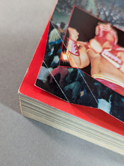 97 Pro Wrestling  Yearbook New Japan  Pro, All-Japan Pro 25th Anniversary War