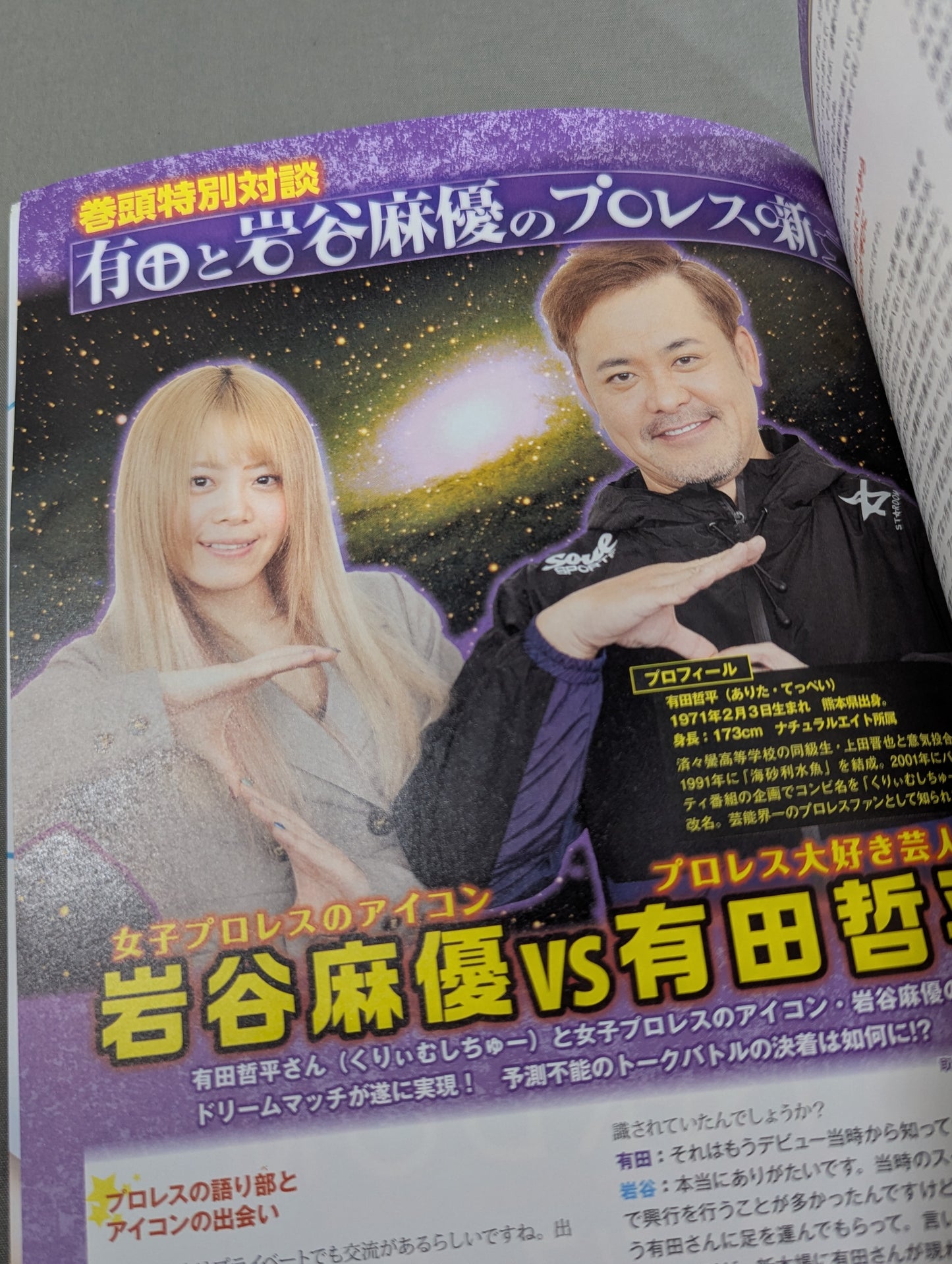 STARDOM FANBOOK 2