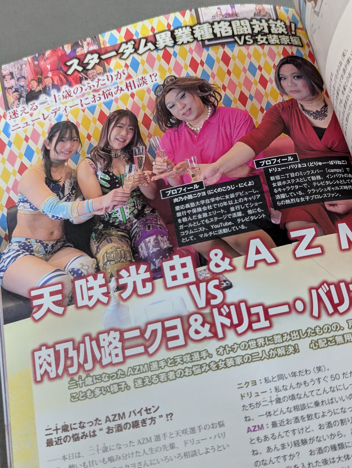 STARDOM FANBOOK 2