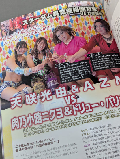 STARDOM FANBOOK 2