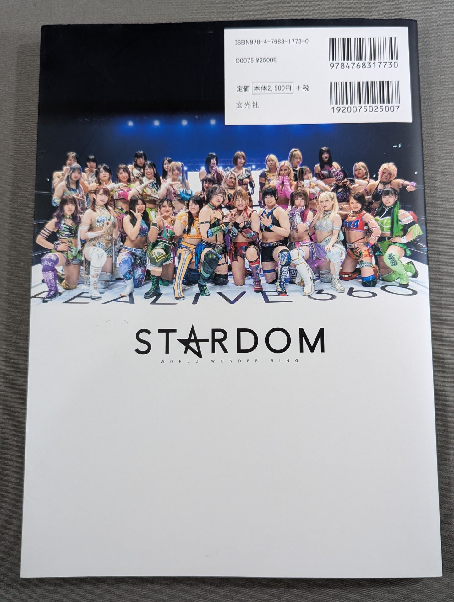 STARDOM FANBOOK 2