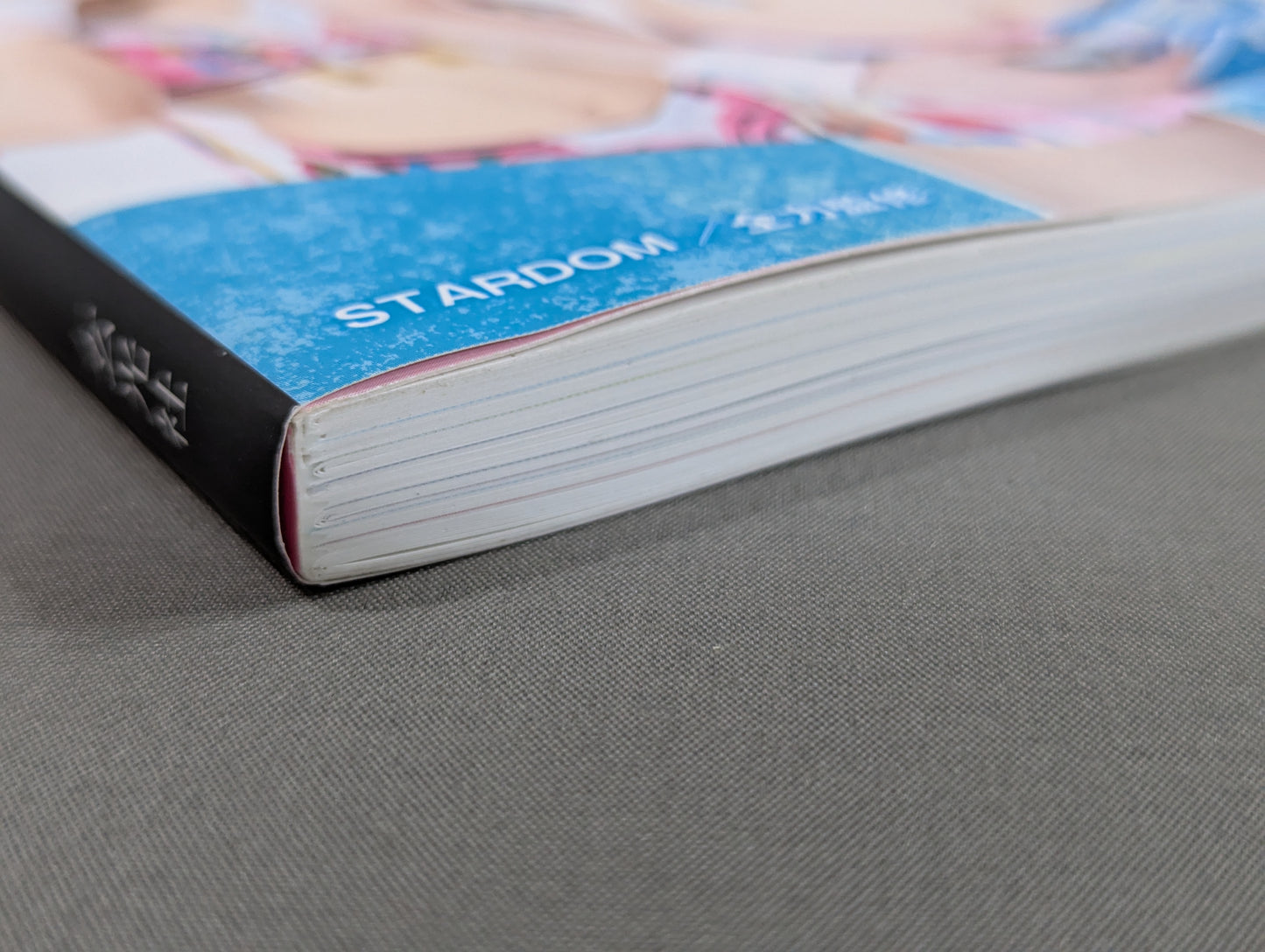 STARDOM FANBOOK 2