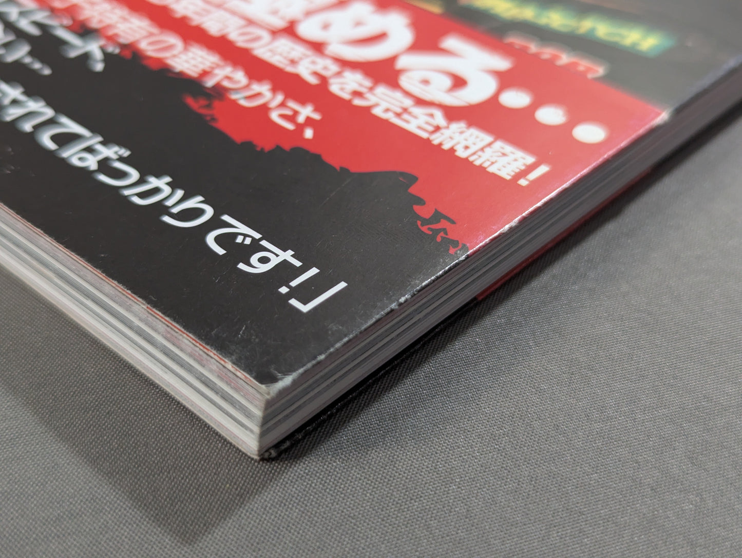 SMACKGIRL OFFICIAL BOOK 2000-2006