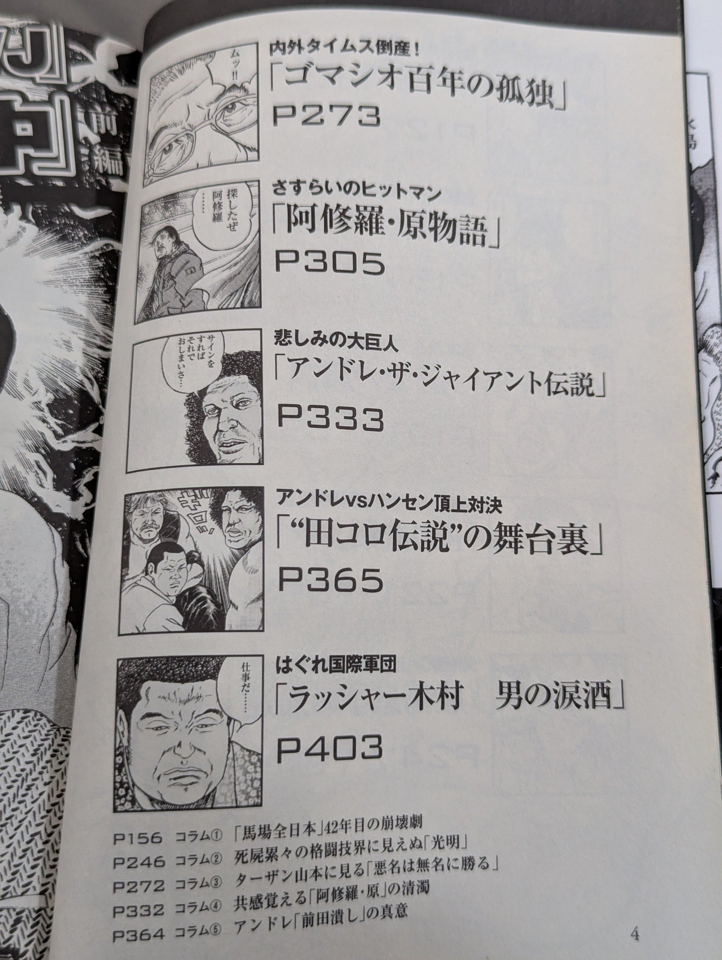Pro Wrestling  Hell Hentai