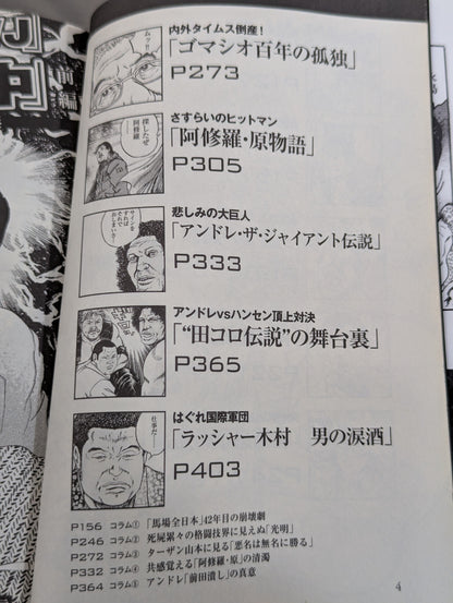 Pro Wrestling  Hell Hentai