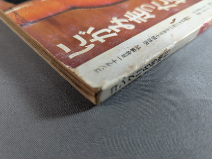 大関 貴ノ花