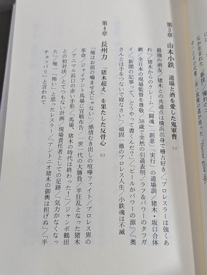 Antonio Inoki  Fighting Spirit Gene