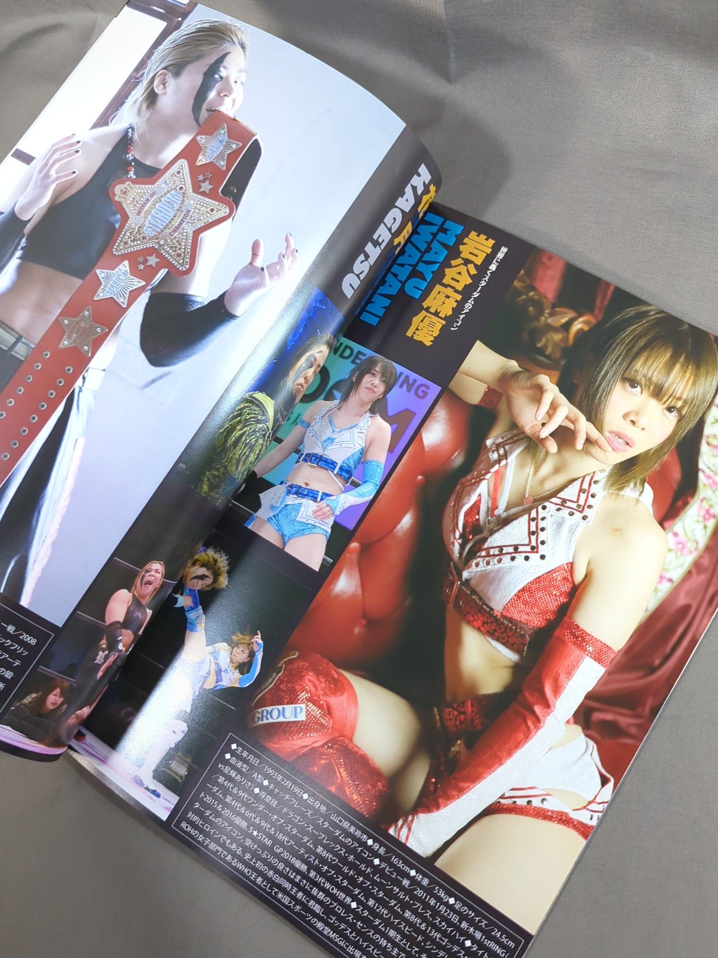 STARDOM OFFICIAL GUIDE BOOK Vol.120