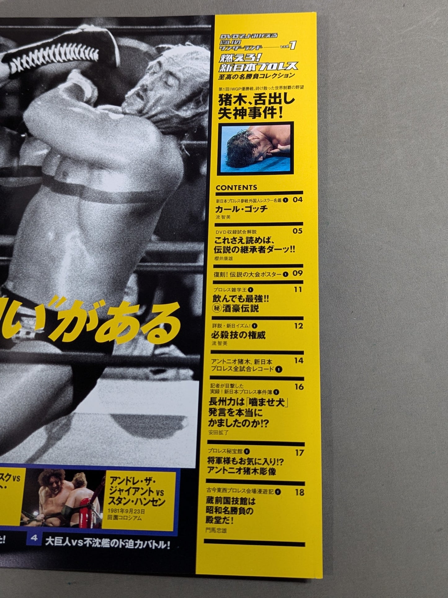 燃えろ!新日本プロレス vol.1