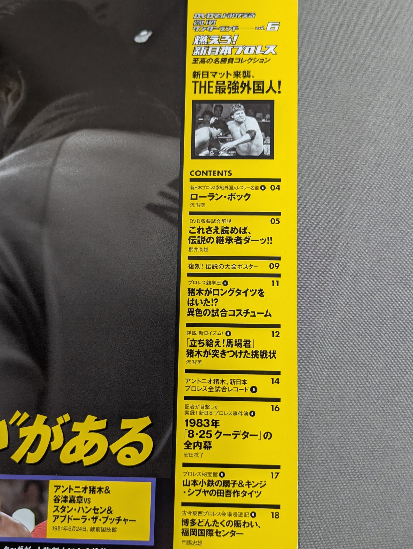 Burn! New Japan Pro Wrestling  vol.6