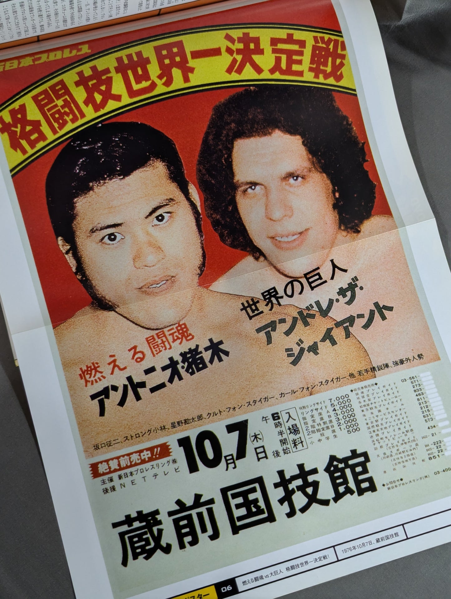 Burn! New Japan Pro Wrestling  vol.6