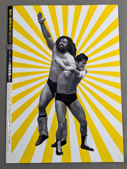 Burn! New Japan Pro Wrestling  vol.6