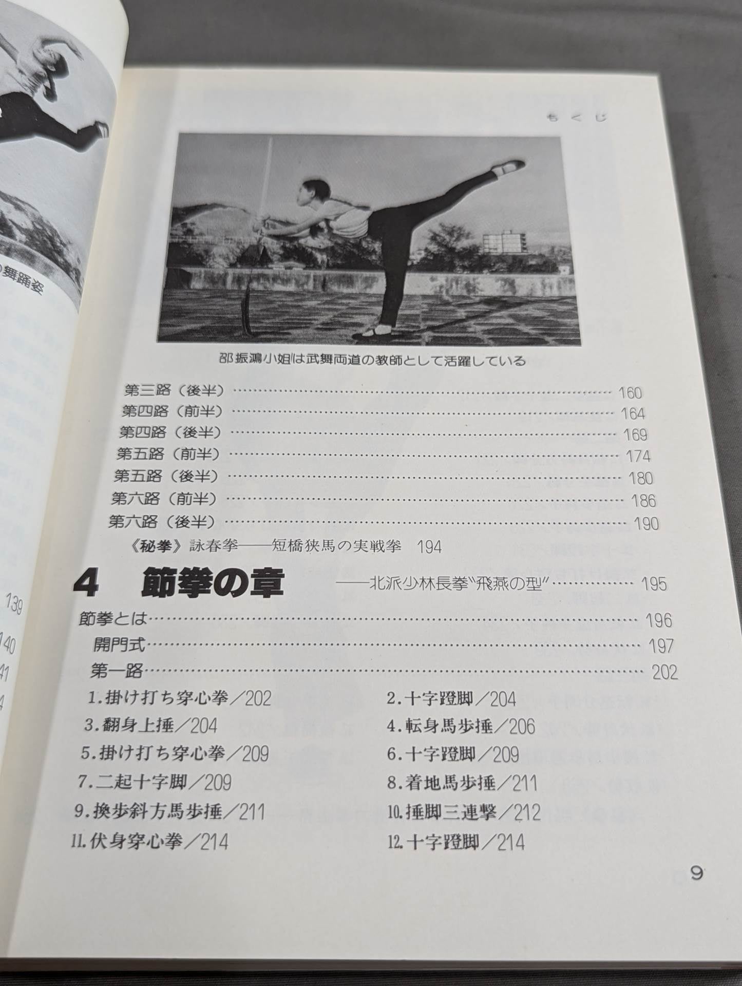 Introduction to Chinese Kempo Shaolin