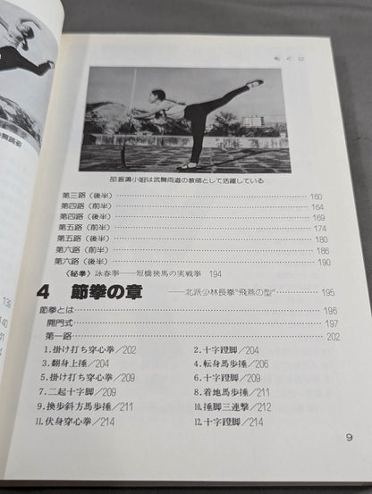 Introduction to Chinese Kempo Shaolin