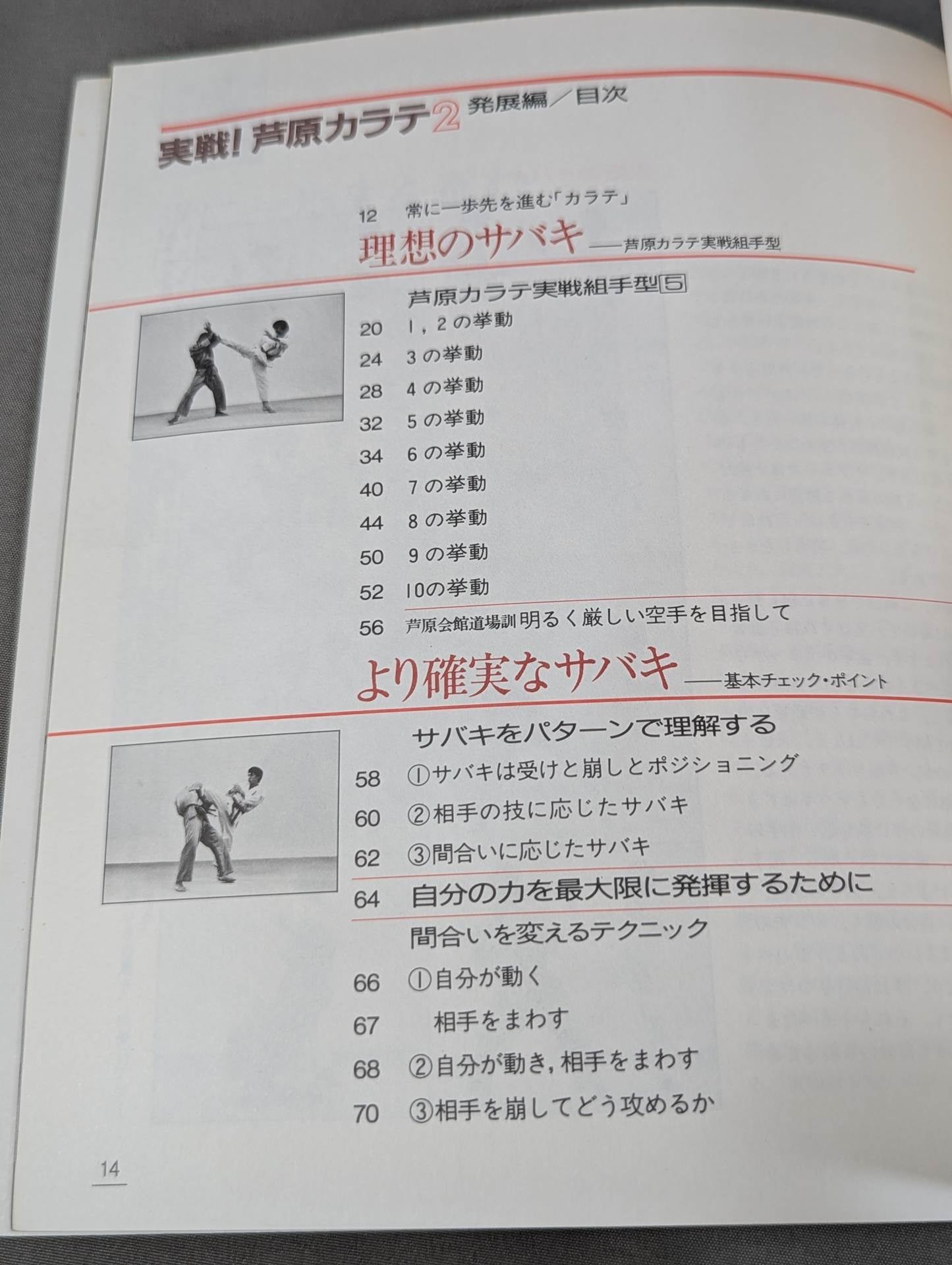 Combat! KARATE  Ashihara 2 Development