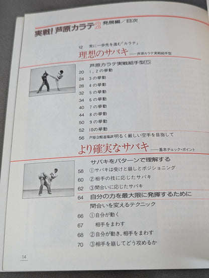 Combat! KARATE  Ashihara 2 Development