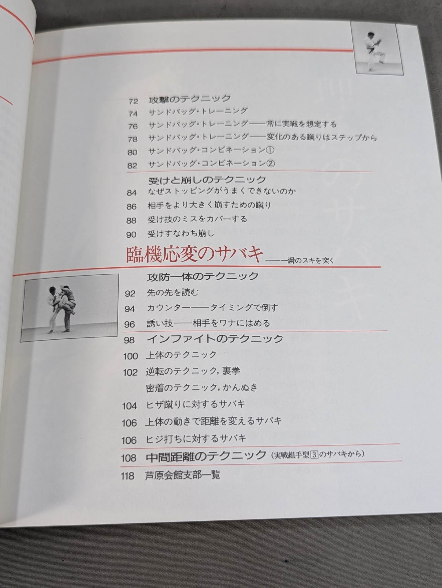 Combat! KARATE  Ashihara 2 Development