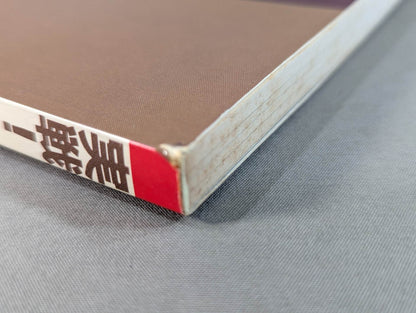 Combat! KARATE  Ashihara 2 Development