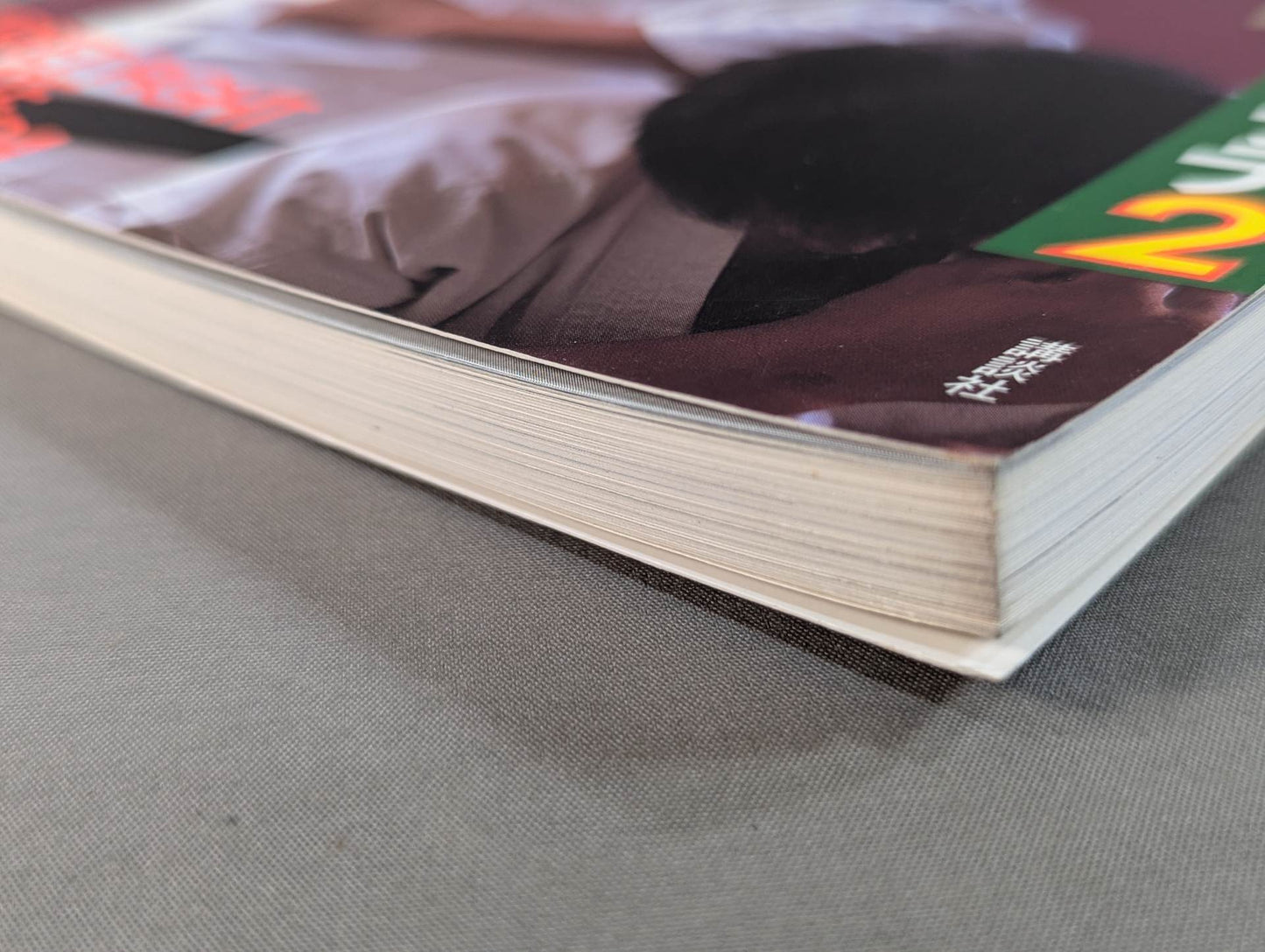 Combat! KARATE  Ashihara 2 Development