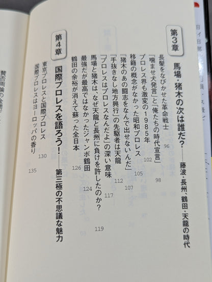 Let's talk about Showa Pro Wrestling !