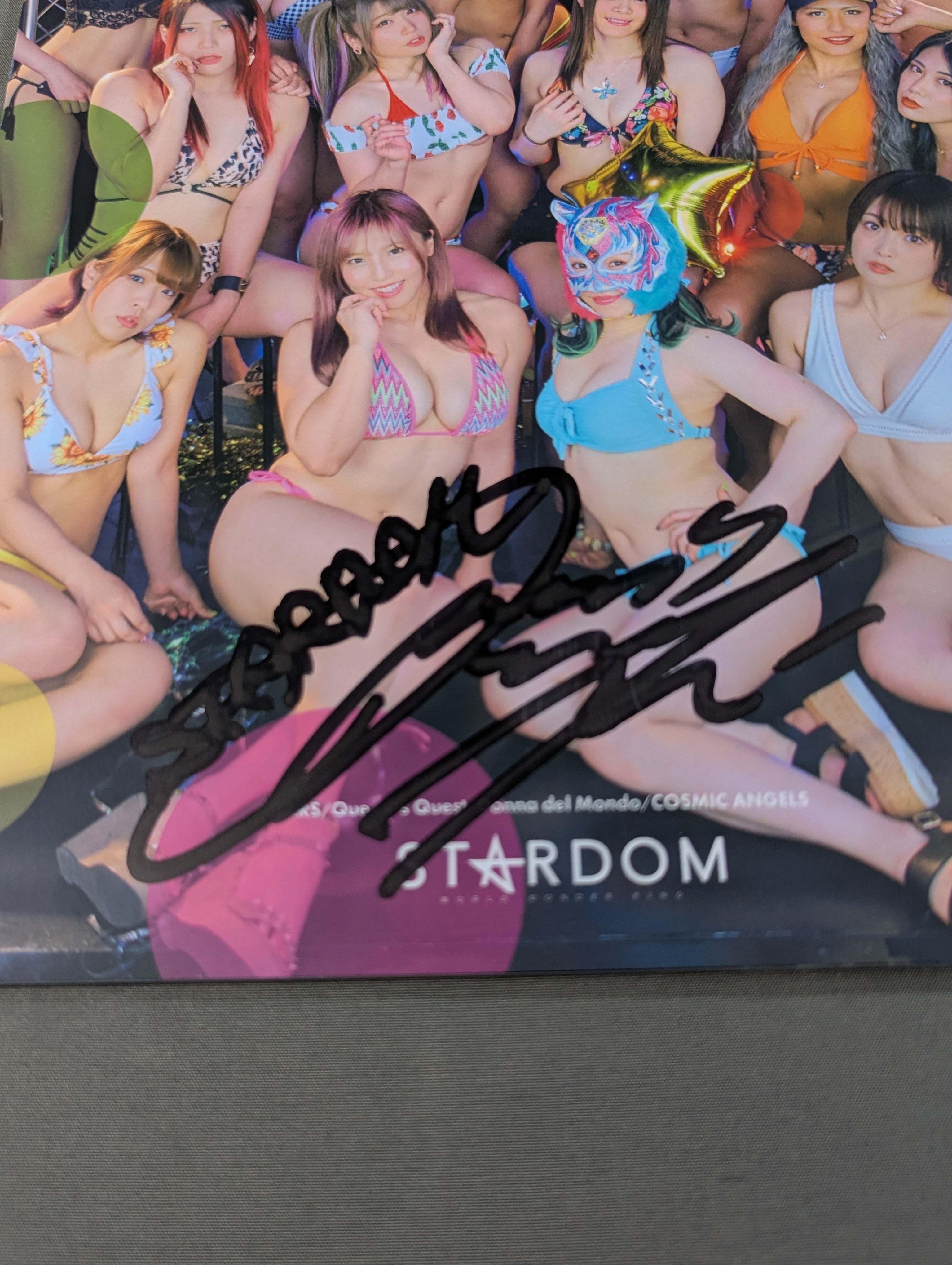 林下詩美 直筆サイン入り】STARDOM VISUAL BOOK Bikiniing 10 – 闘道館