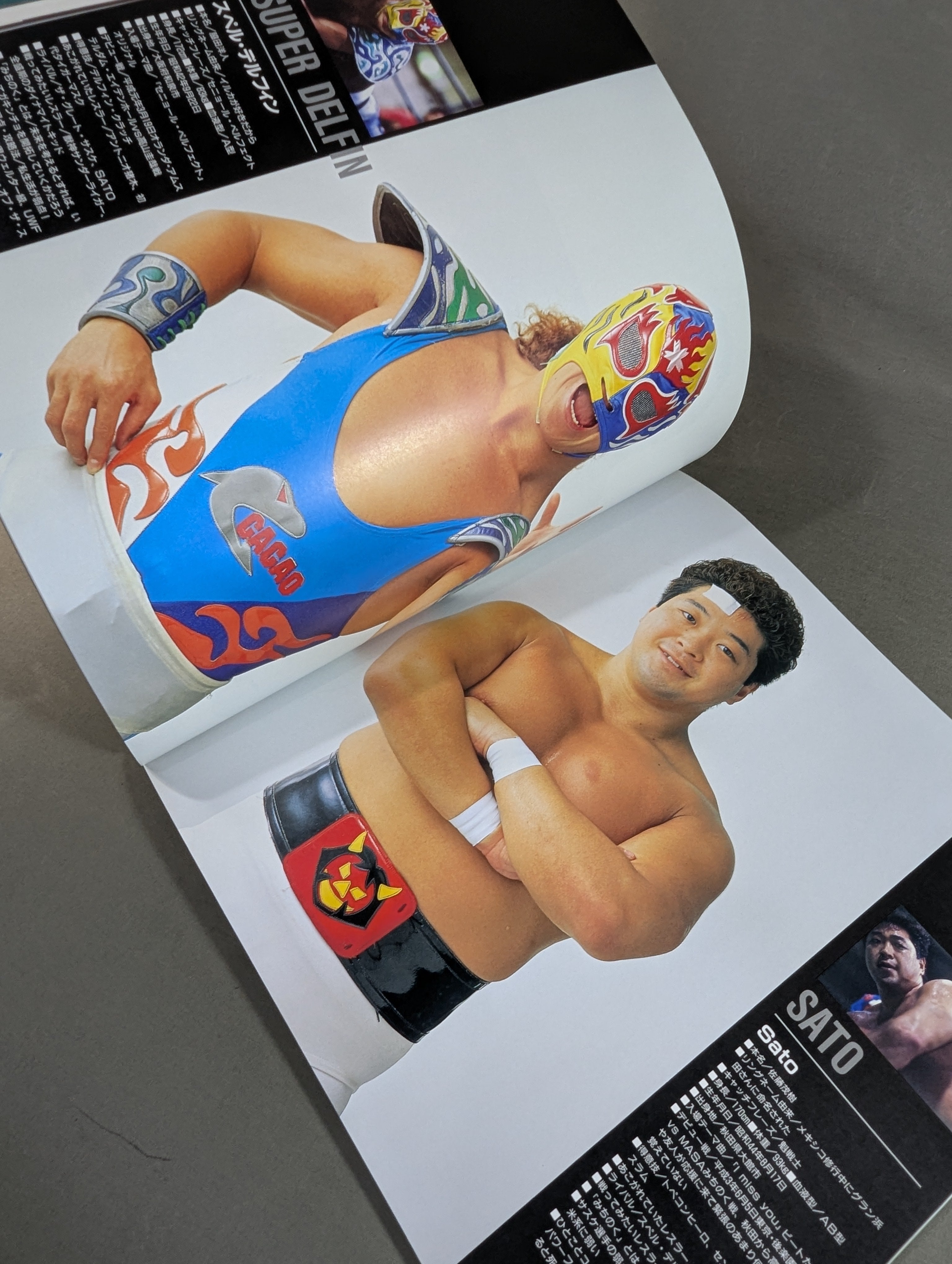 みちのくプロレス 写真集 Ring of Dreams～リング オブ ドリームス