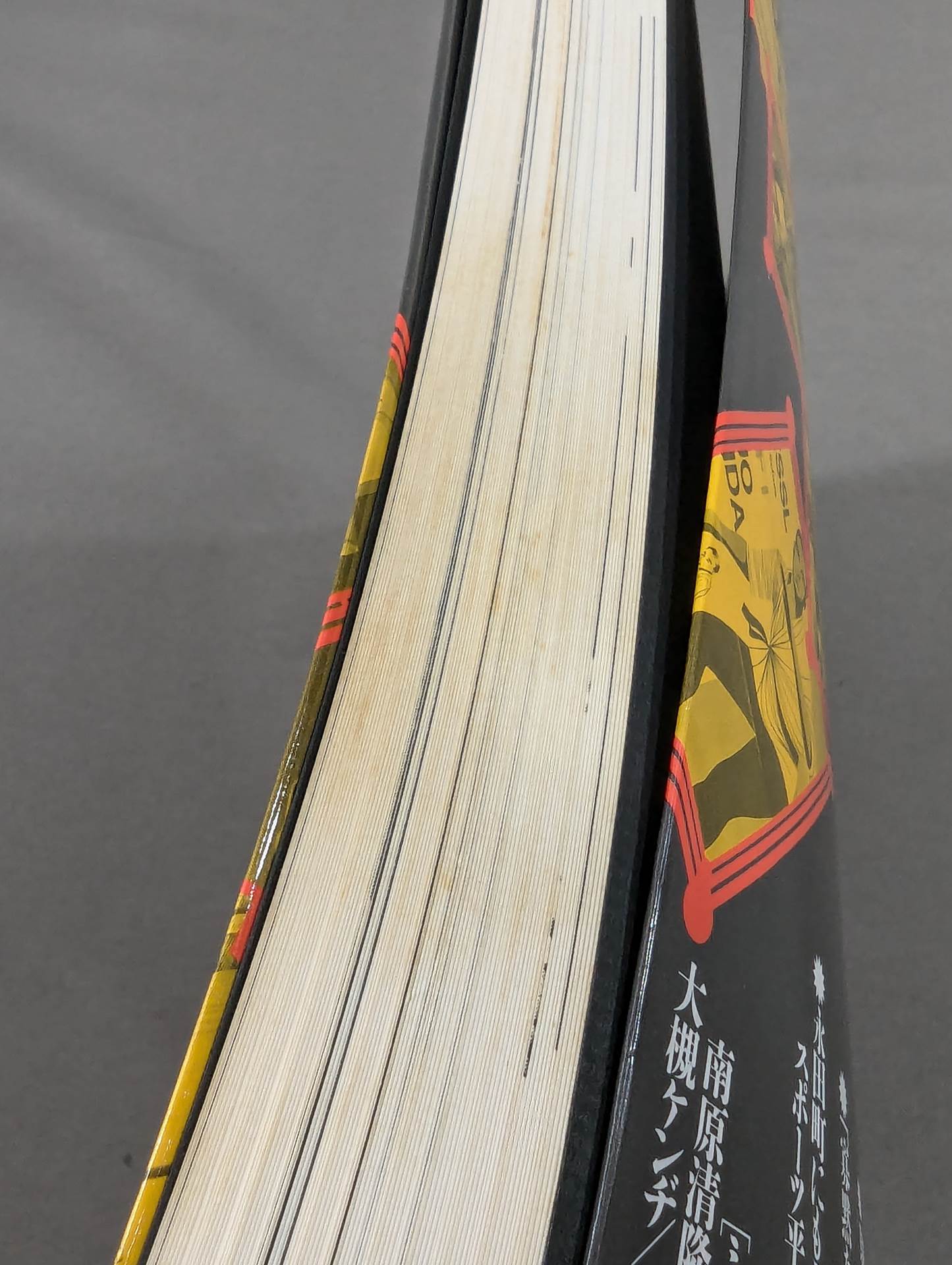 プロレス狂読本2 プロレス狂宣言 涙と歓びのリングベル