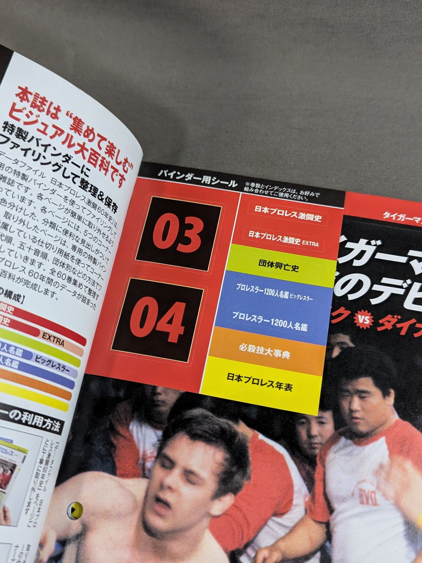 Japan Pro Wrestling 60 Years of Fierce Battle (21)