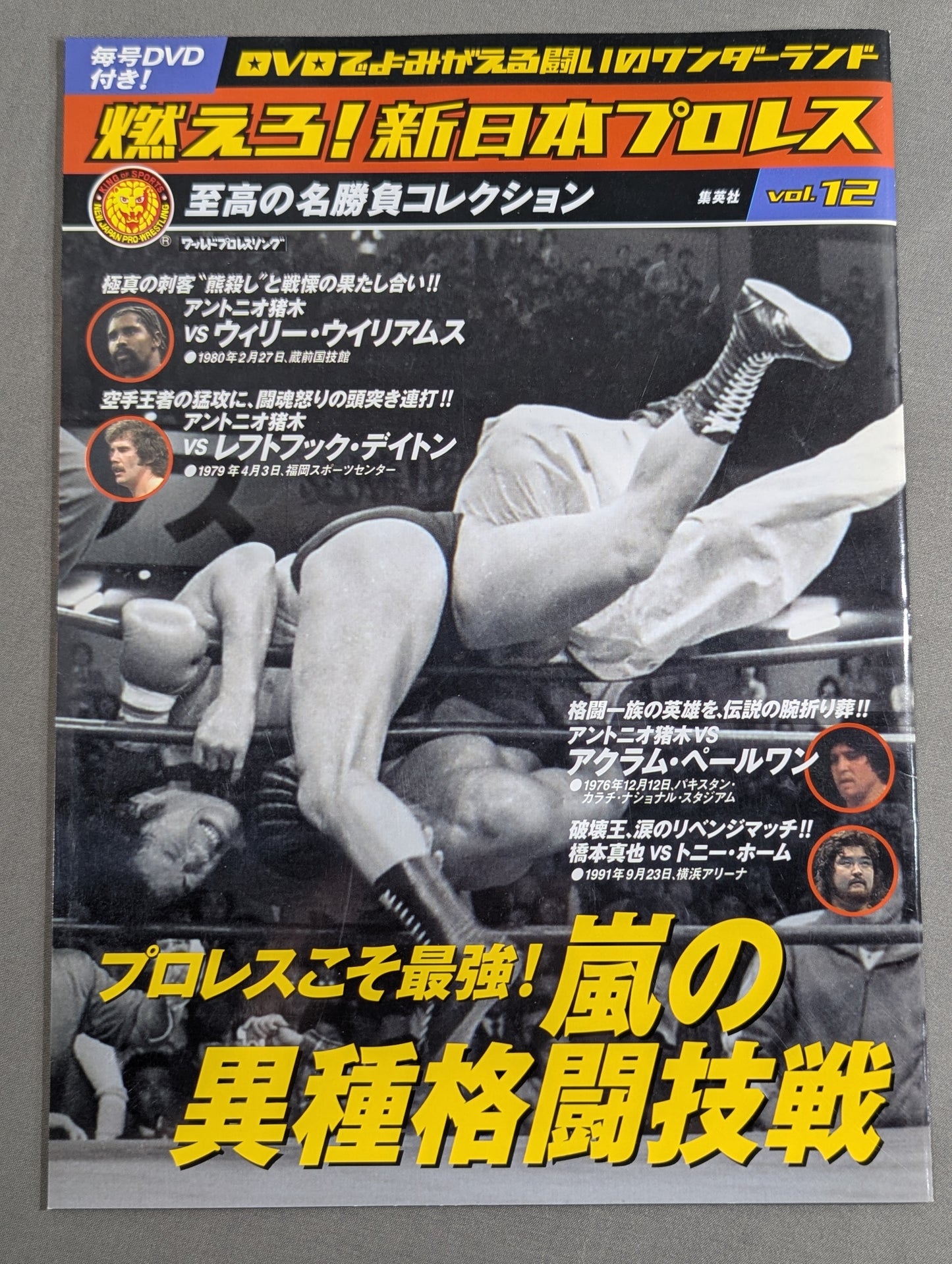 燃えろ!新日本プロレス vol.12