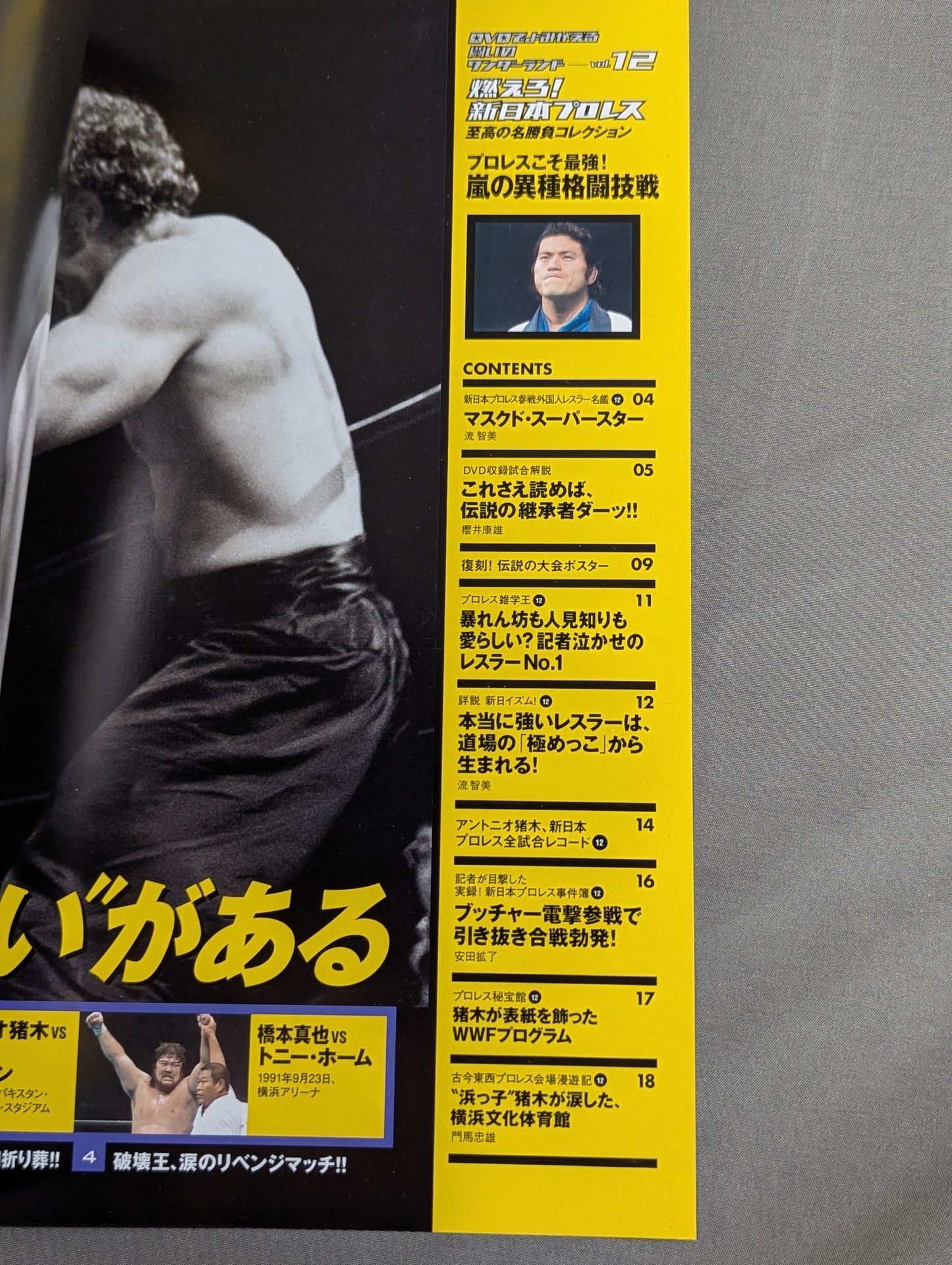 燃えろ!新日本プロレス vol.12