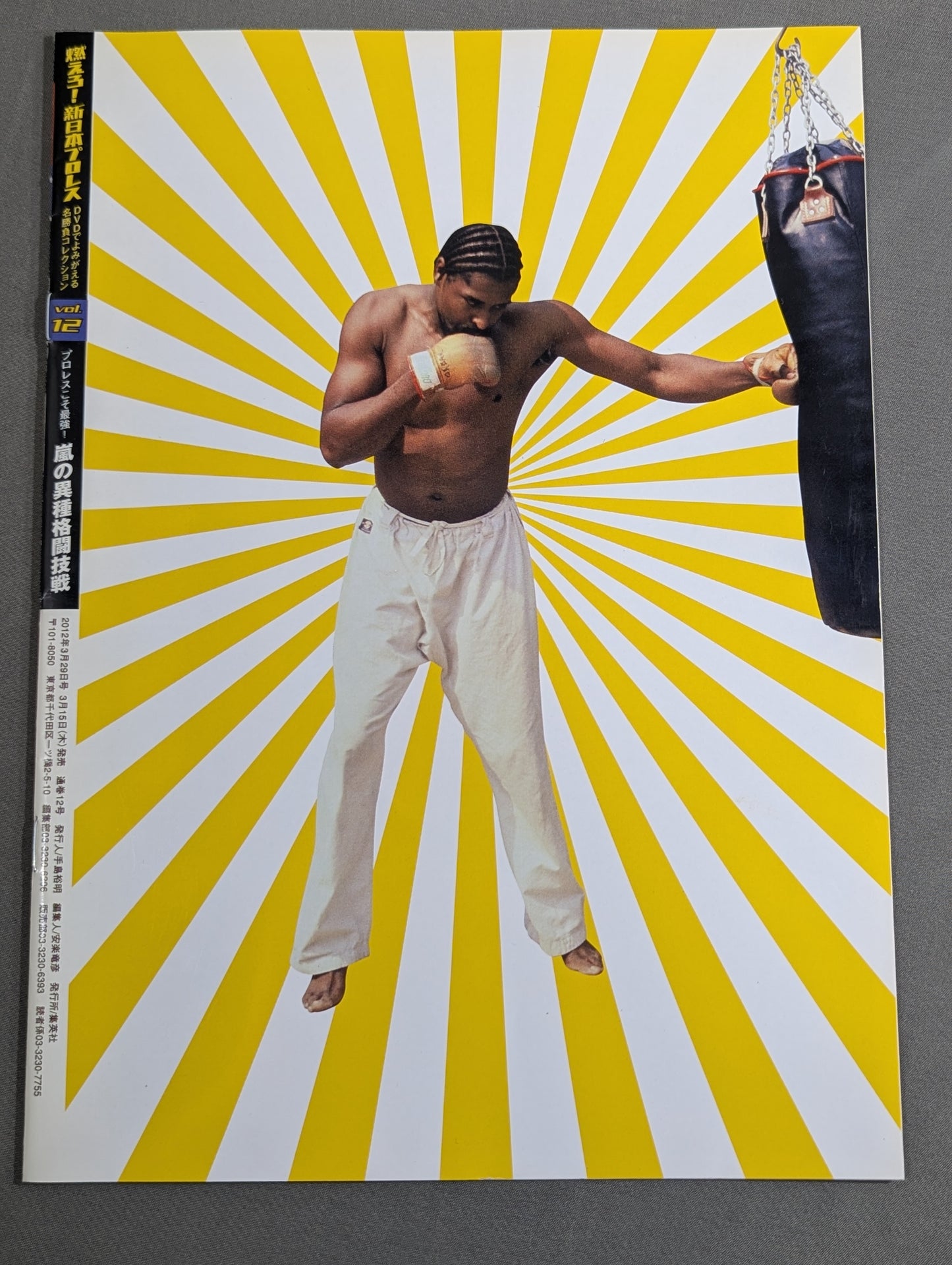 燃えろ!新日本プロレス vol.12