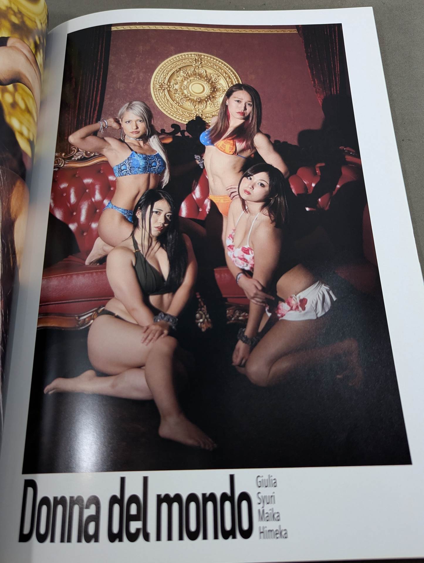 STARDOM VISUAL BOOK Bikiniing 9