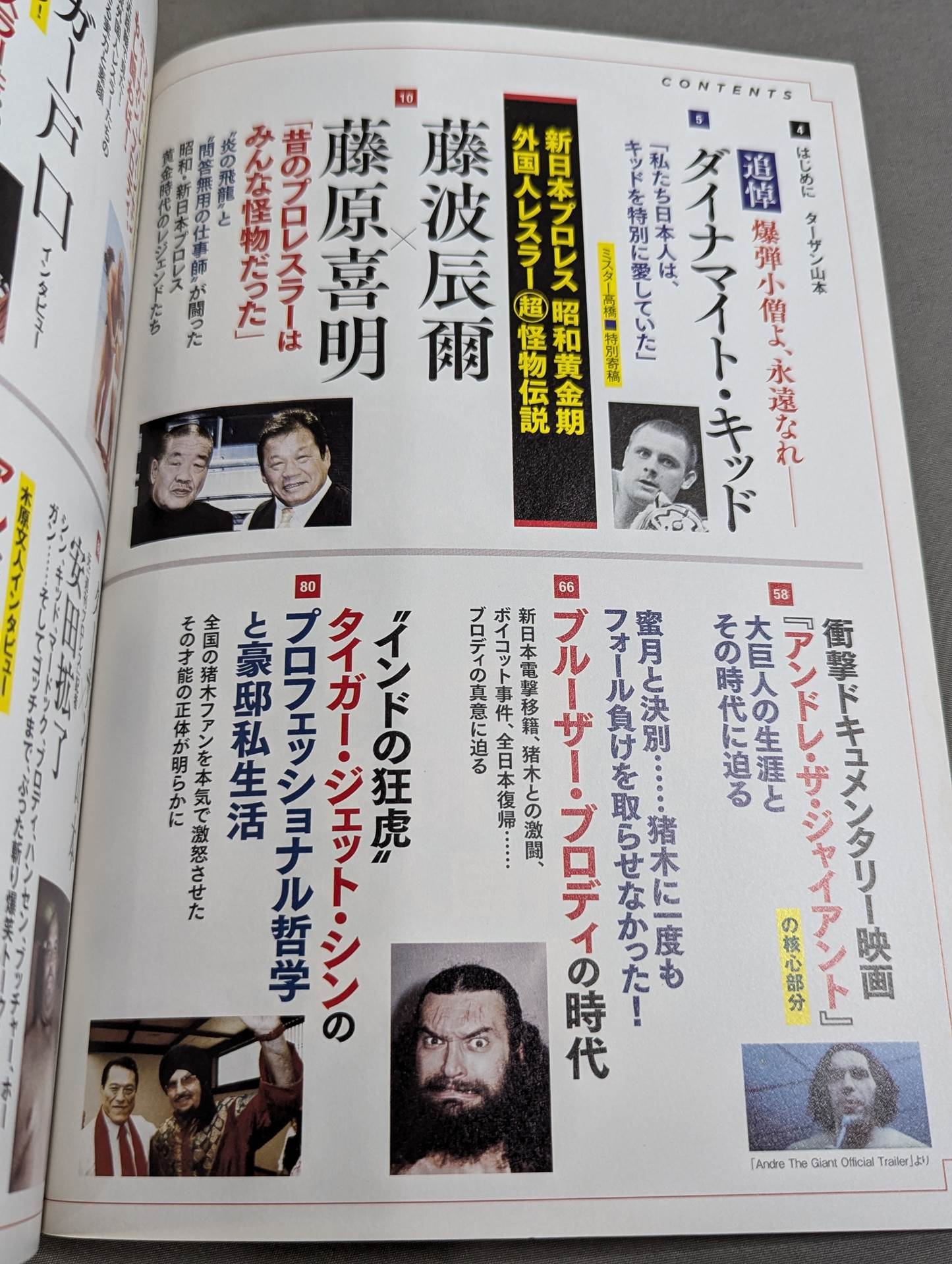 新日本プロレス DVD 13巻セット 染みつい