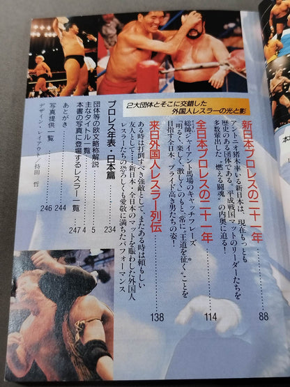 Pro Wrestling