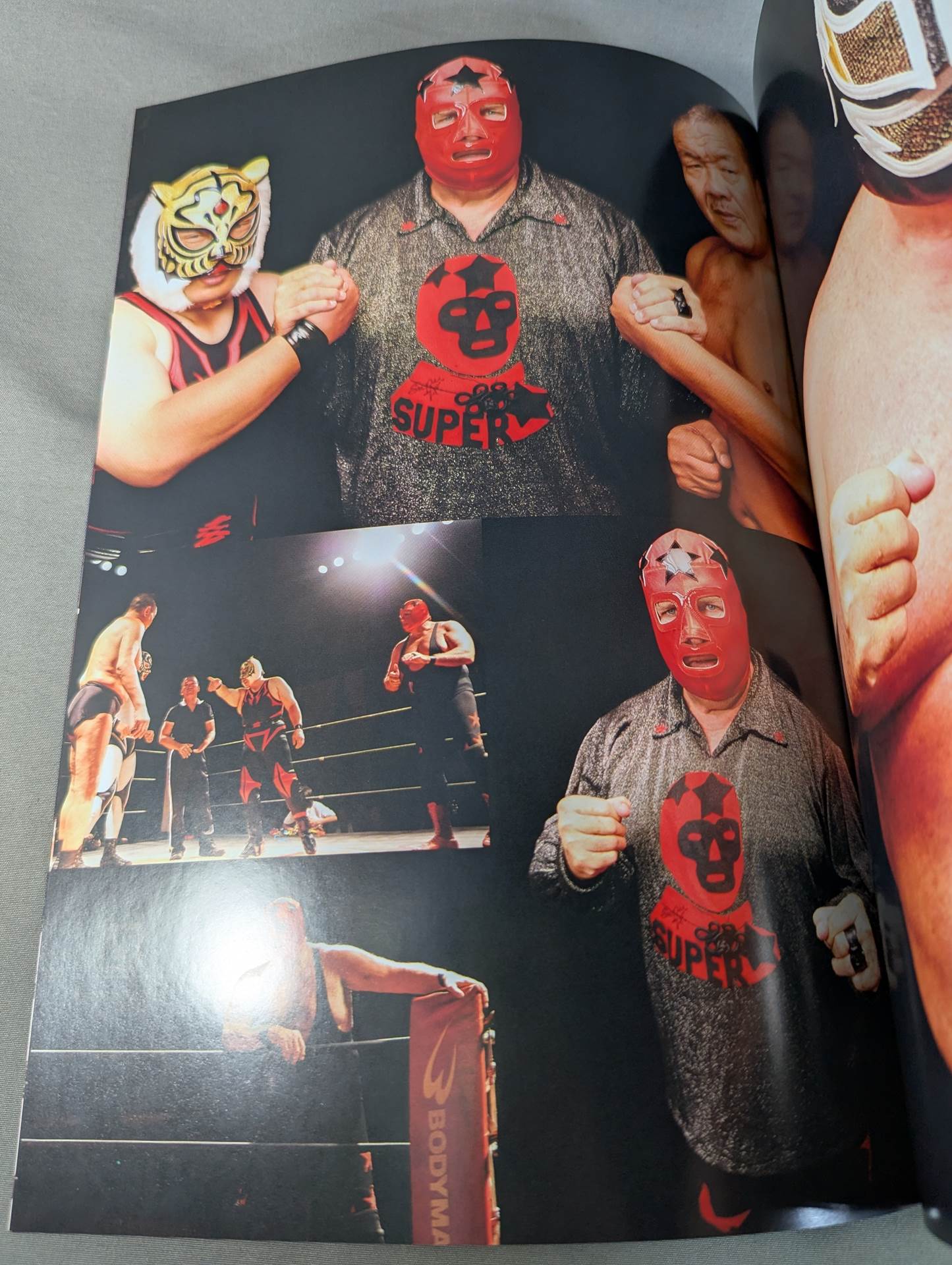 FOTOLIBRE de Mascara Numero.26