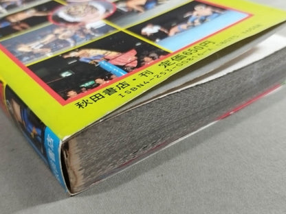 Tiger Mask Encyclopedia All about champion and tiger mask