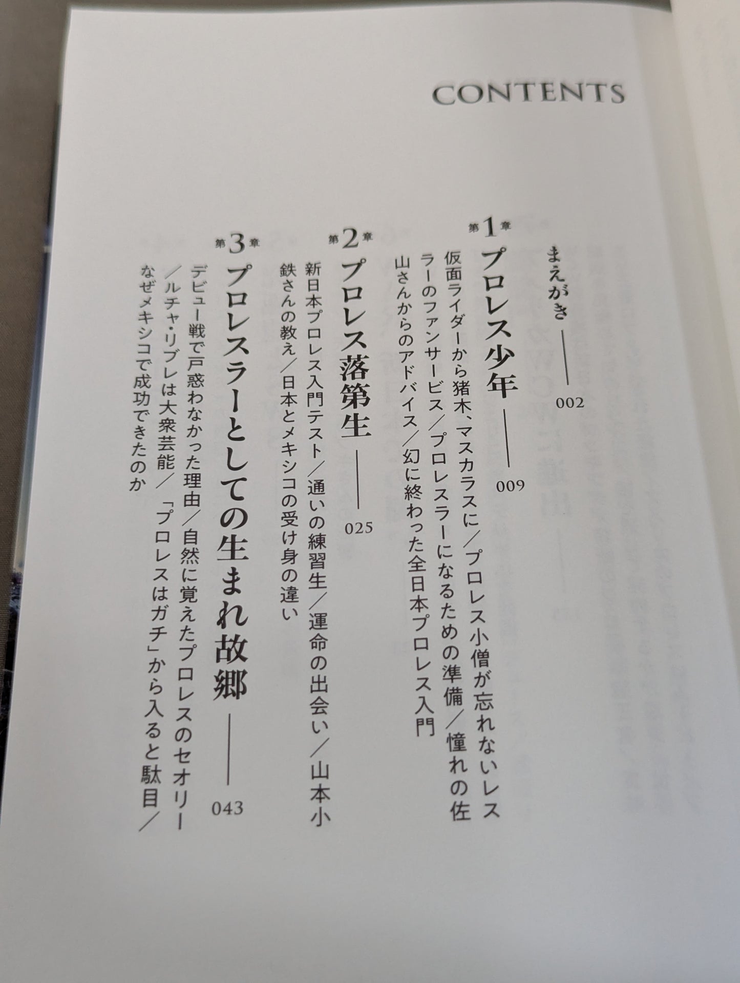 独学のプロレス